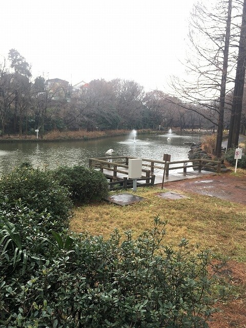 公園に散歩