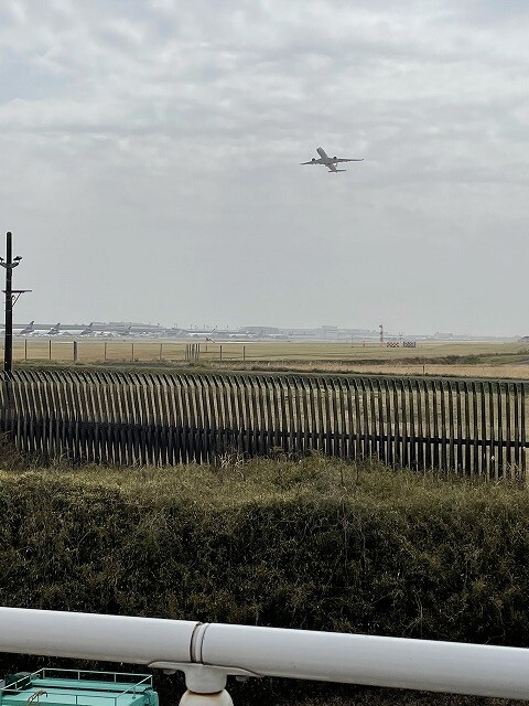 飛行機