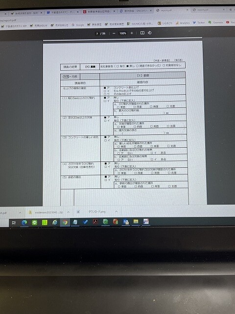 現況調査報告書