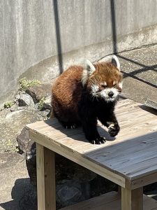 市川動植物園